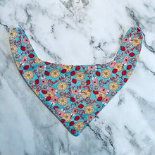 Load image into Gallery viewer, Favorites Bandana Bibs