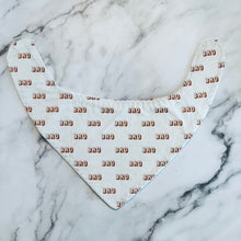 Load image into Gallery viewer, Family Fun Bandana Bibs