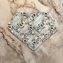 Load image into Gallery viewer, Frozen Bandana Bibs