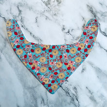 Load image into Gallery viewer, Favorites Bandana Bibs
