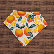 Load image into Gallery viewer, Fruit Bandana Bibs
