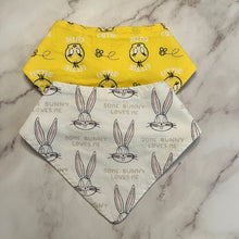 Load image into Gallery viewer, Looney Tunes Bandana Bibs
