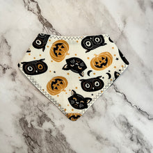 Load image into Gallery viewer, Halloween Bandana Bibs
