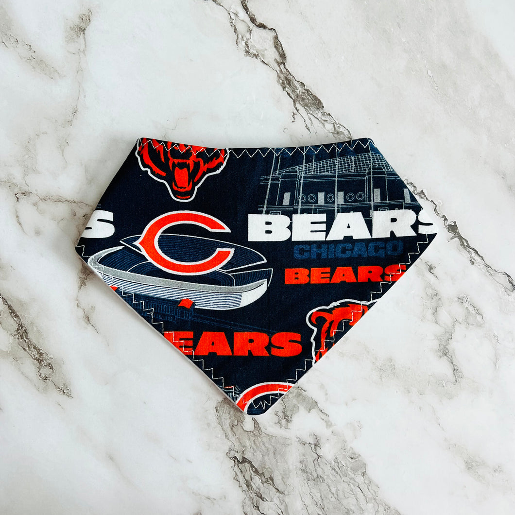 Bears Bandana Bib