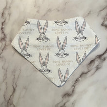 Load image into Gallery viewer, Looney Tunes Bandana Bibs
