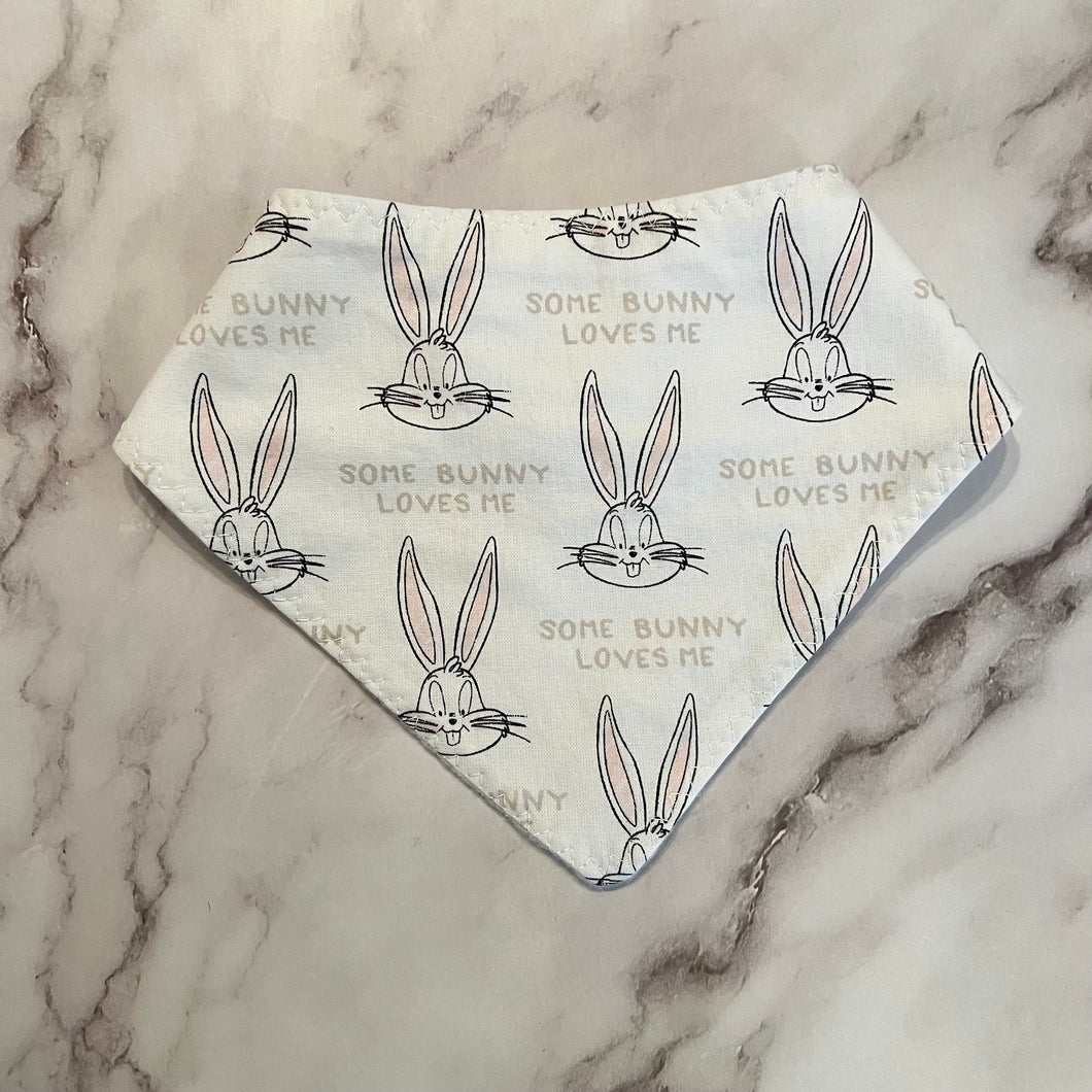 Looney Tunes Bandana Bibs